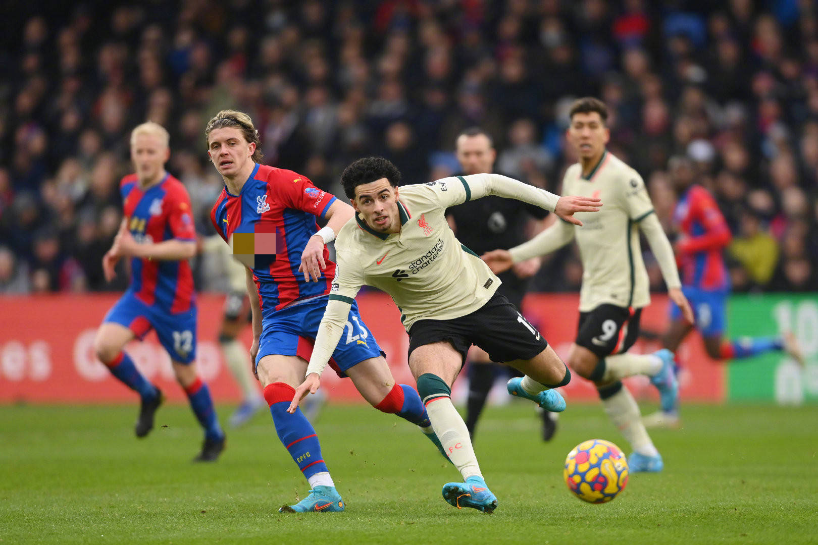 长对特尔施 长对特尔施