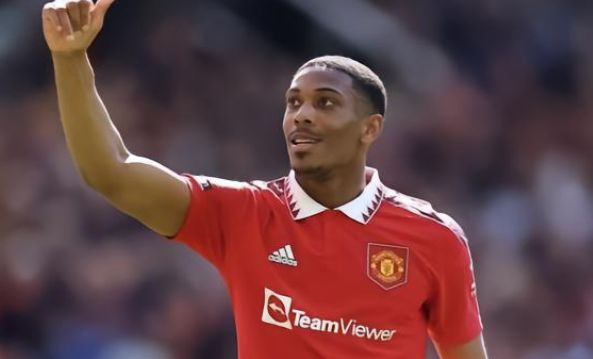 味着海牛将 味着海牛将