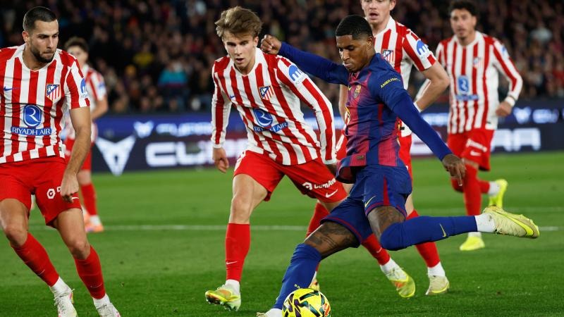 纳入评估 纳入评估